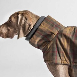 cloud7_hundemantel-brooklyn_waxed_Tartan_2