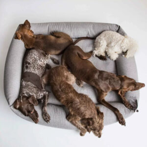 hundebett-cloud7-sleepy-deluxe-tweed-grey-XL_1.jpg