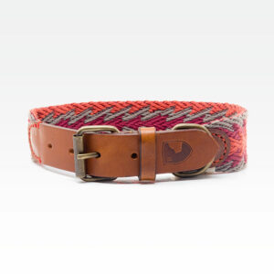 Buddys Hundehalsband Peruvian Arrow Orange 01