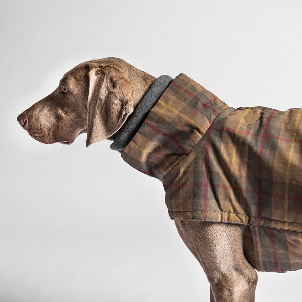 cloud7-hundemantel-brooklyn-waxed-tartan_4