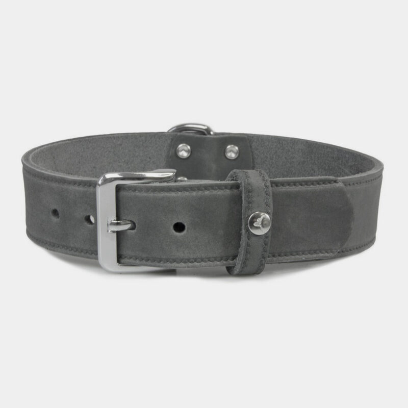 Das Lederband Hundehalsband Weinheim Granite L