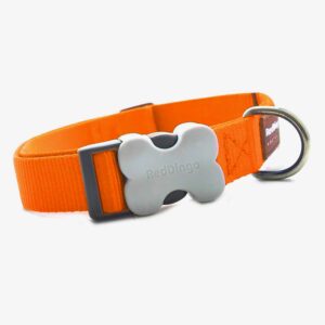 red-dingo-hundehalsband-uni-orange