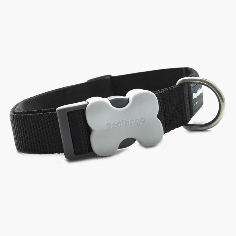 red-dingo-hundehalsband-uni-schwarz