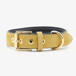 William Walker Hundehalsband Leder Midnight Sun LE 1