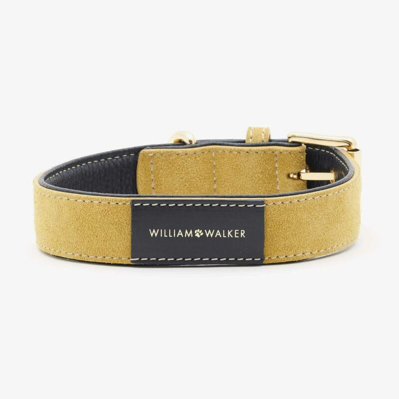 William Walker Hundehalsband Leder Midnight Sun LE 2