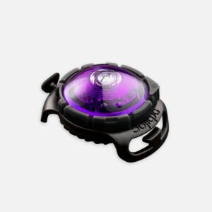 Orbiloc Dog Dual purple