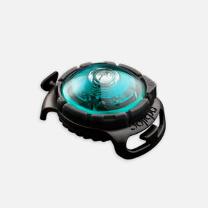 Orbiloc Dog Dual türkis